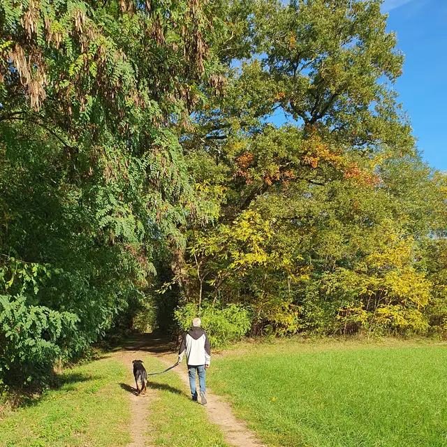 Rando pédestre_Gorrevod