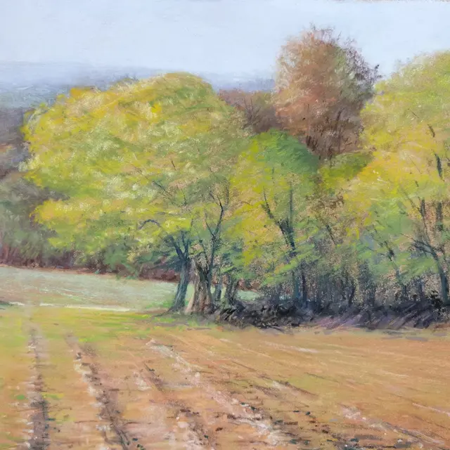Exposition de peintures au pastel_Mirepoix