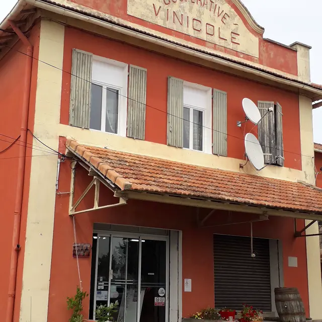Les vignerons de Mistral