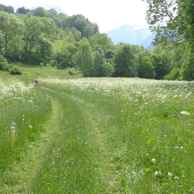 Chemins de passage l Renc'Arts du Parc_Bellecombe-en-Bauges