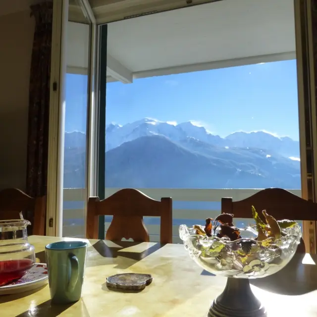 Le Mont Blanc depuis l'appartement
