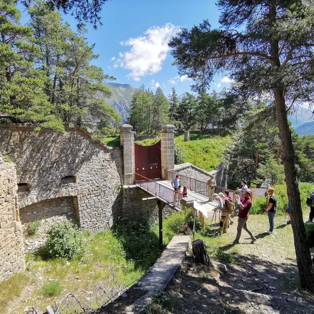 Visite de la Batterie des Caurres (fort de Tournoux)