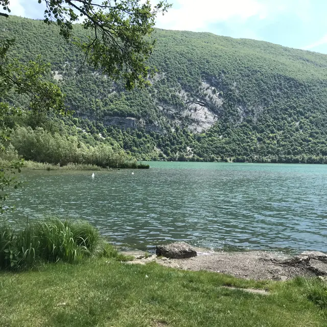 Camping de l'Ambroisière -Lac d'Aiguebelette