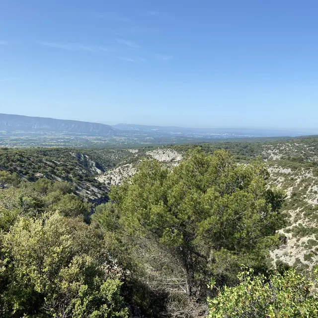 Sentier du maquis par la Sénancole : Nature et Mémoire_Gordes