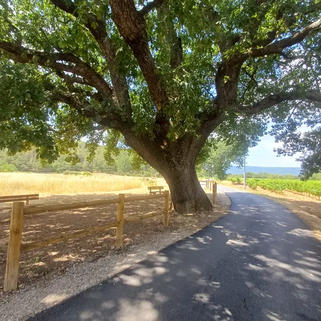 Sentier botanique des rives de l'Issole_Néoules