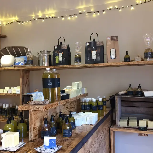 Le Savonnier des Calanques