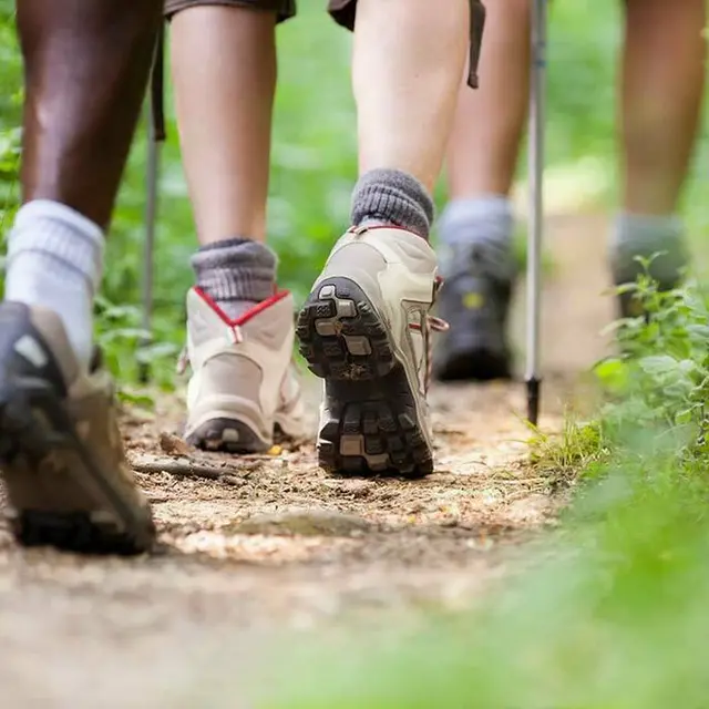 Randonnée sportive