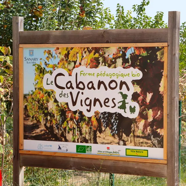 Cabanon des vignes_Sanary-sur-Mer