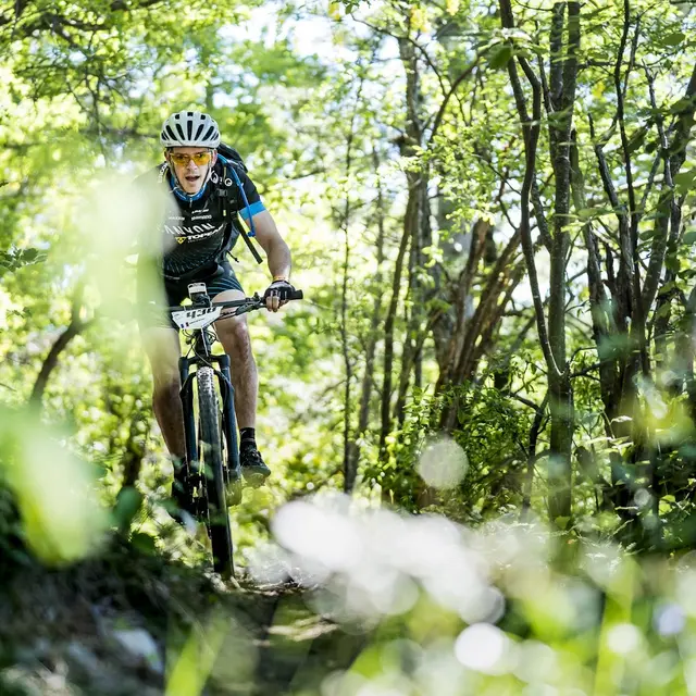 Les Chemins du soleil - VTT