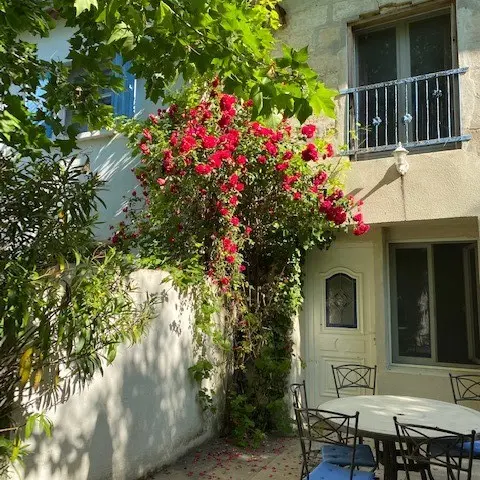 Les gîtes du Mas de la Vigne_Arles