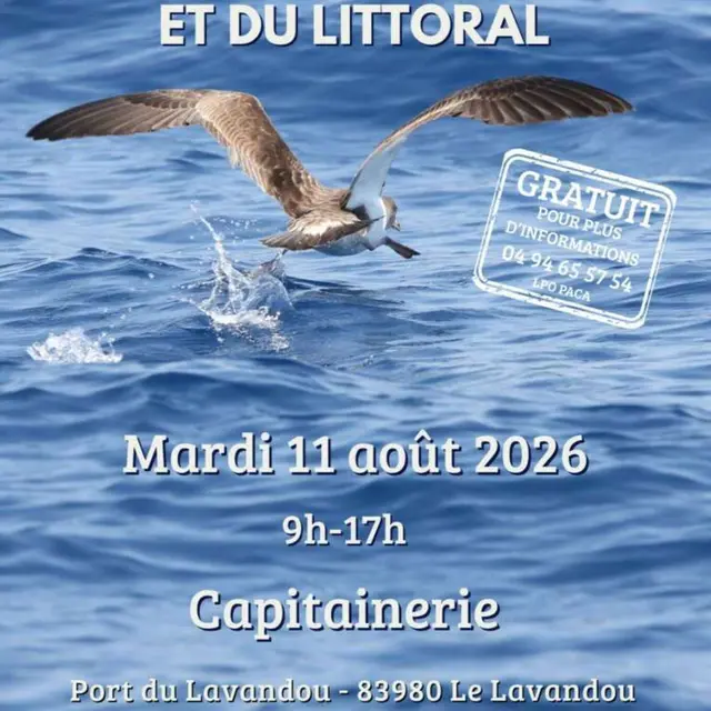 Journ e De Sensibilisation La Biodiversit Marine Et Du Littoral Le journ-e-de-sensibilisation-la-biodiversit-marine-et-du-littoral-le