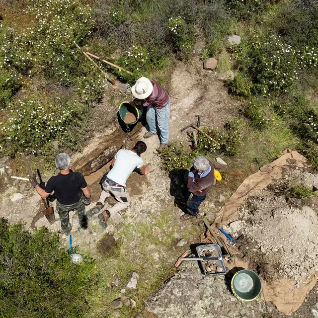 Conférence : « Sauvetage d‘un tronc fossile sur le Dôme de Biot /Villeneuve Loubet »_Biot