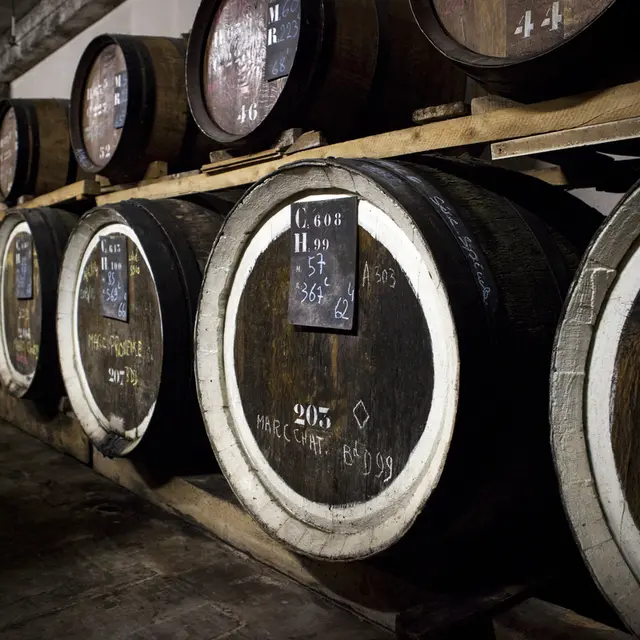 Distillerie Blachère