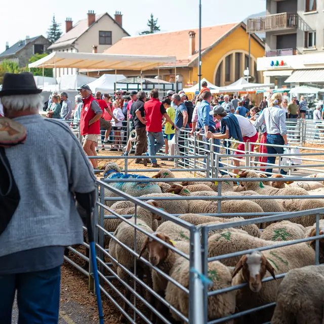 Foire de la Saint-Michel à Barcelonnette