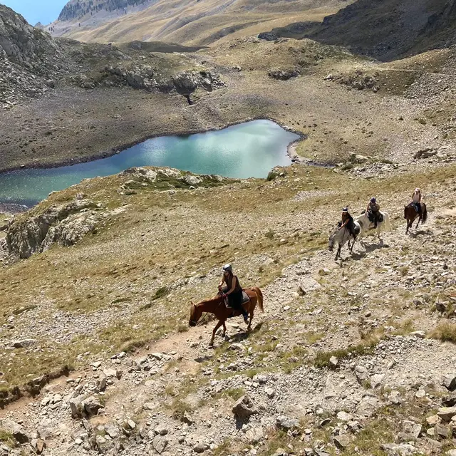 Horse & Ventures
