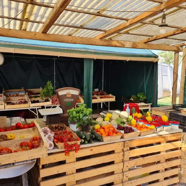 Au jardin des Lices de Signon - Brignoles