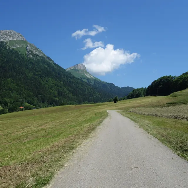Parcours VTT AE - col de la Buffaz