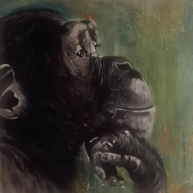 Exposition Terre en danger_Saint-Martin-de-Crau