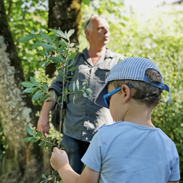 Balade familiale: Découverte des plantes sauvages_Morzine