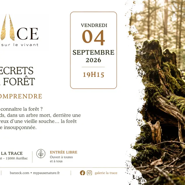 Les secrest de la forêt