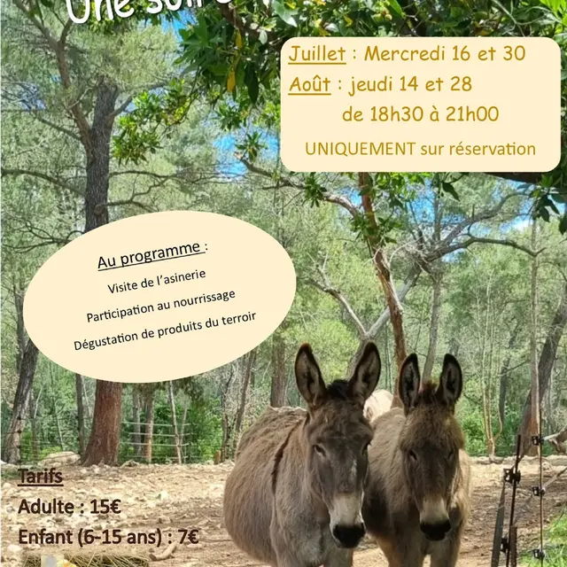 Affiche