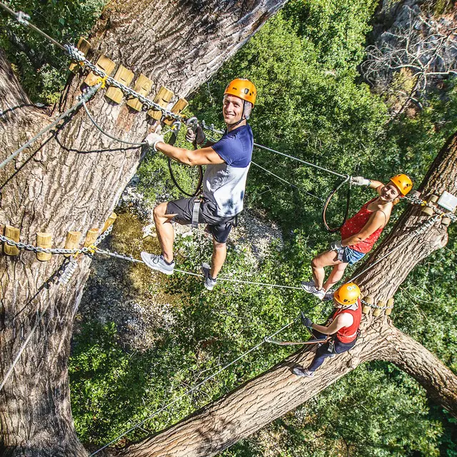 Canyon Forest - Villeneuve-Loubet