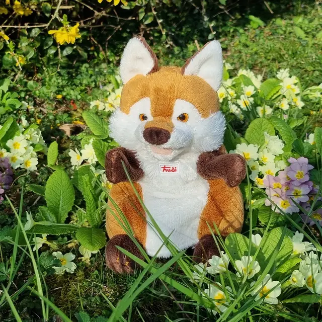 Photo pour illustrer l'évènement