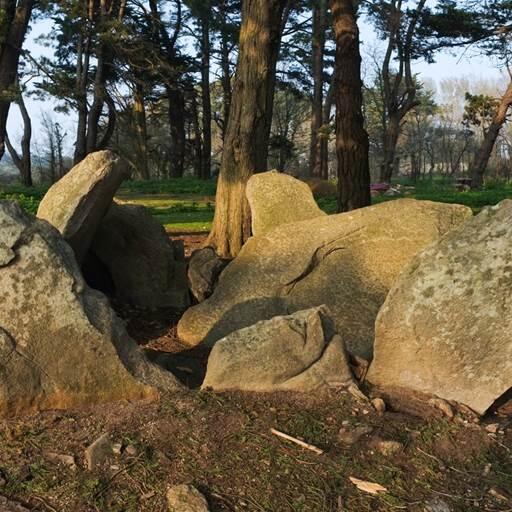 Ensemble mégalithique de Pen Liouse Ile d'Arz - Morbihan Bretagne sud (2)