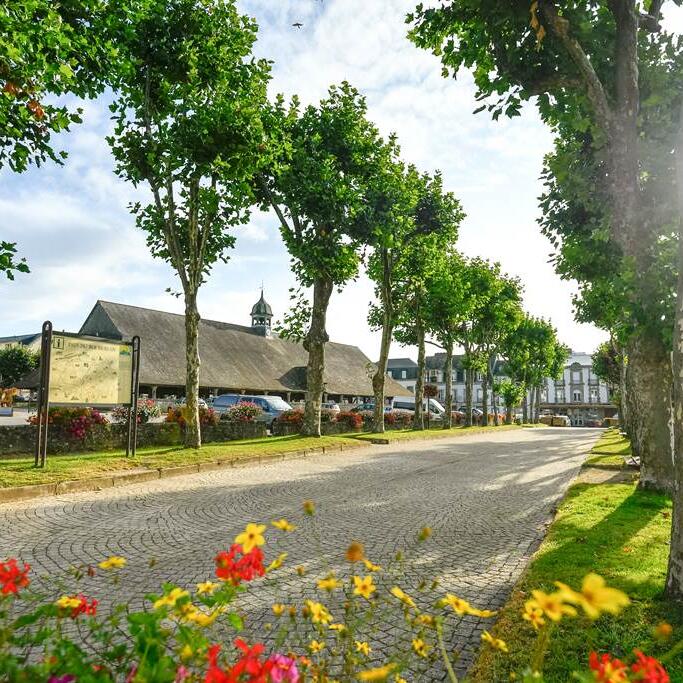 Halles-Le-Faouet-pays-du-roi-Morvan-Morbihan-Bretagne-Sud