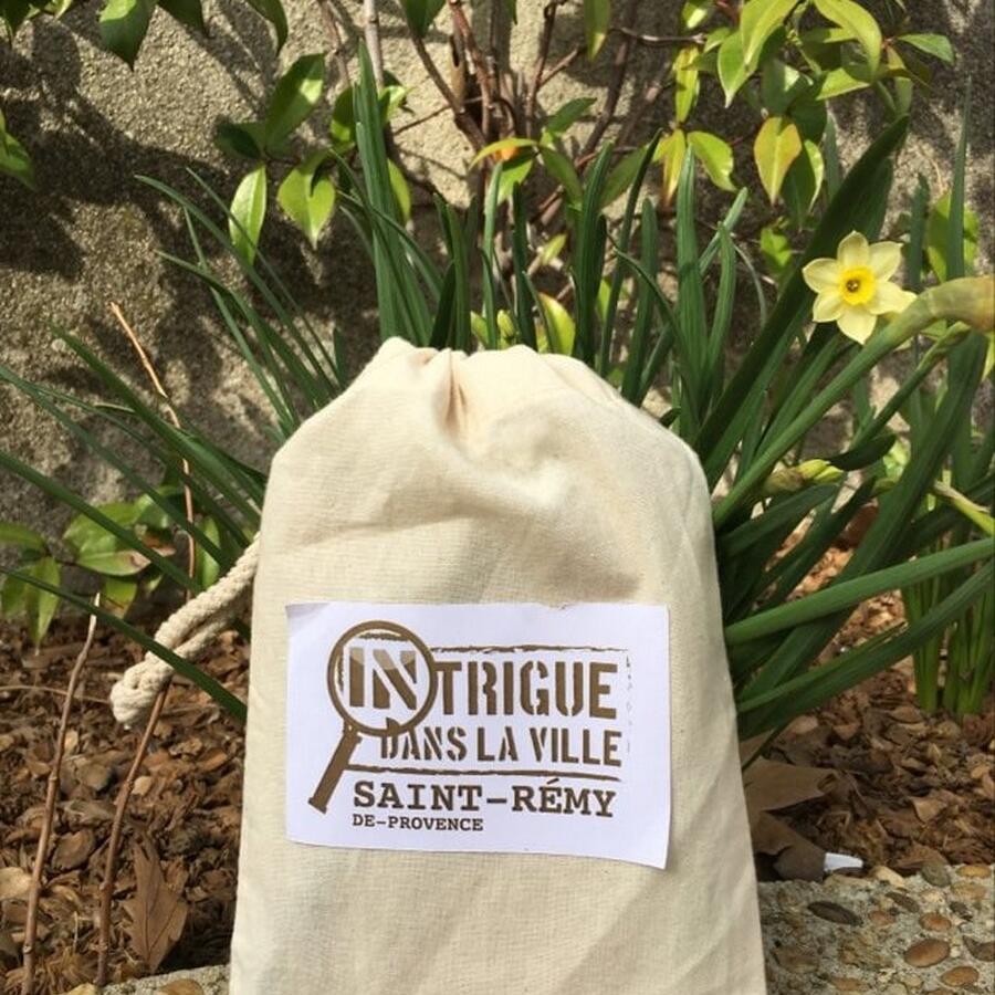 Intrigue dans la ville à SaintRémydeProvence (SaintRémydeProvence) ProvenceAlpesCôte d