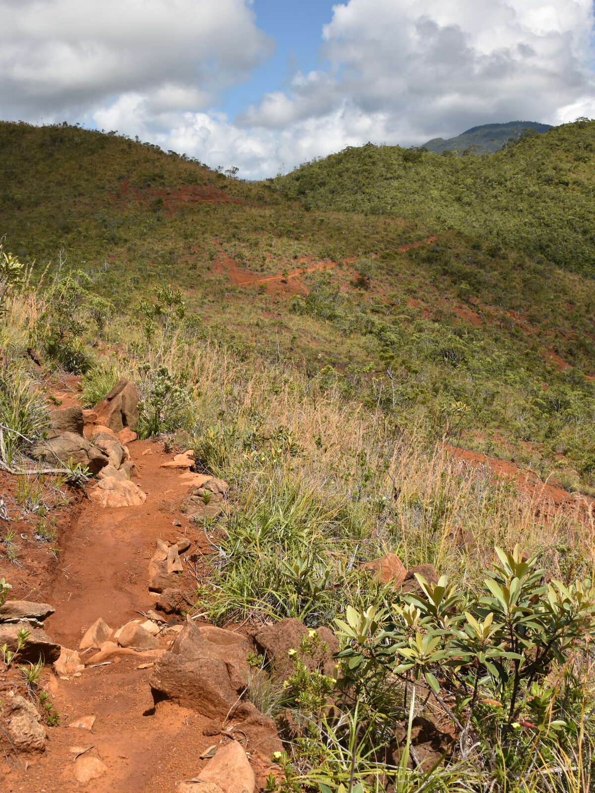 Parc Provincial de la Rivière Bleue Destination Province Sud