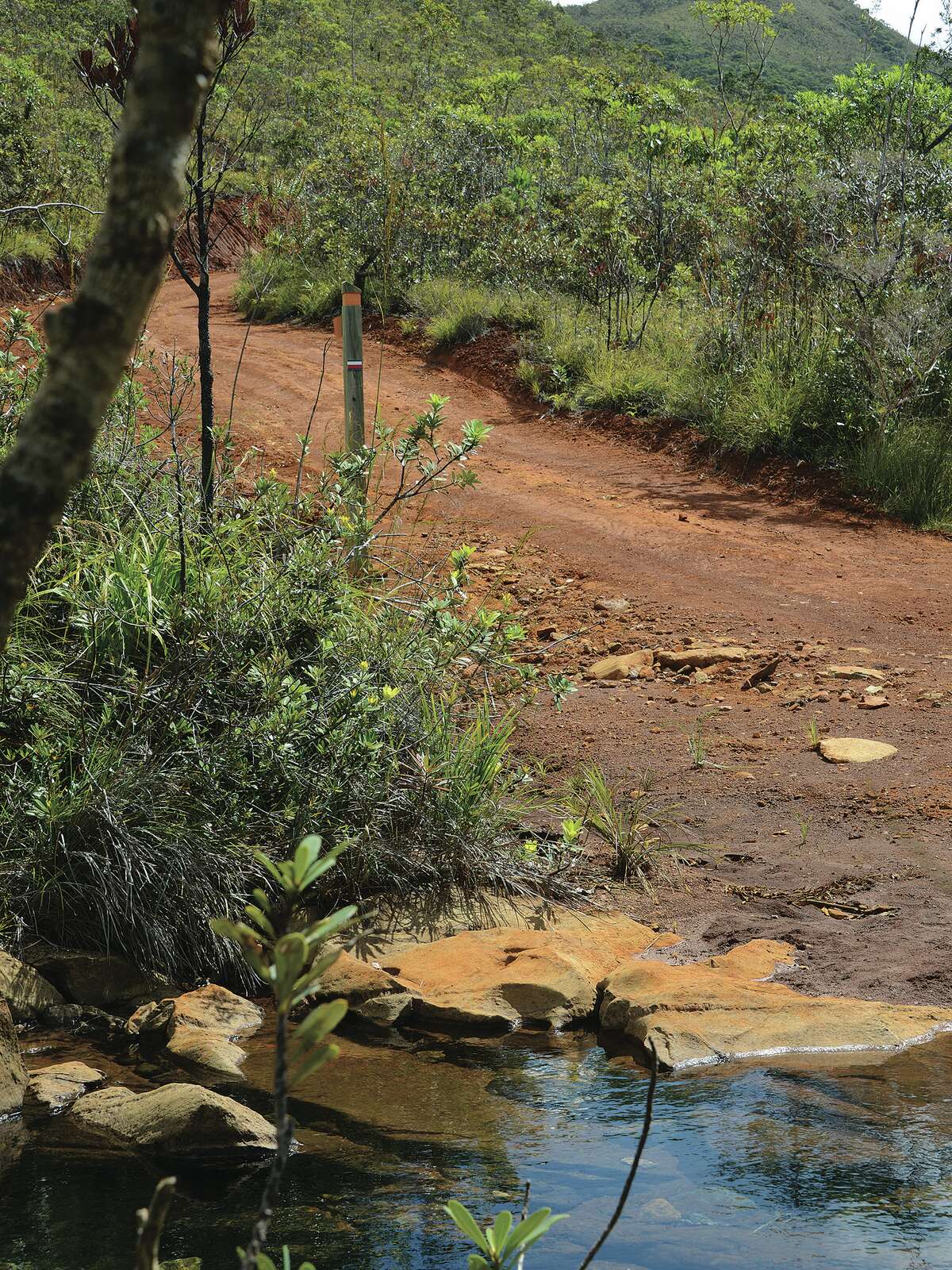 Parc Provincial de la Rivière Bleue Destination Province Sud
