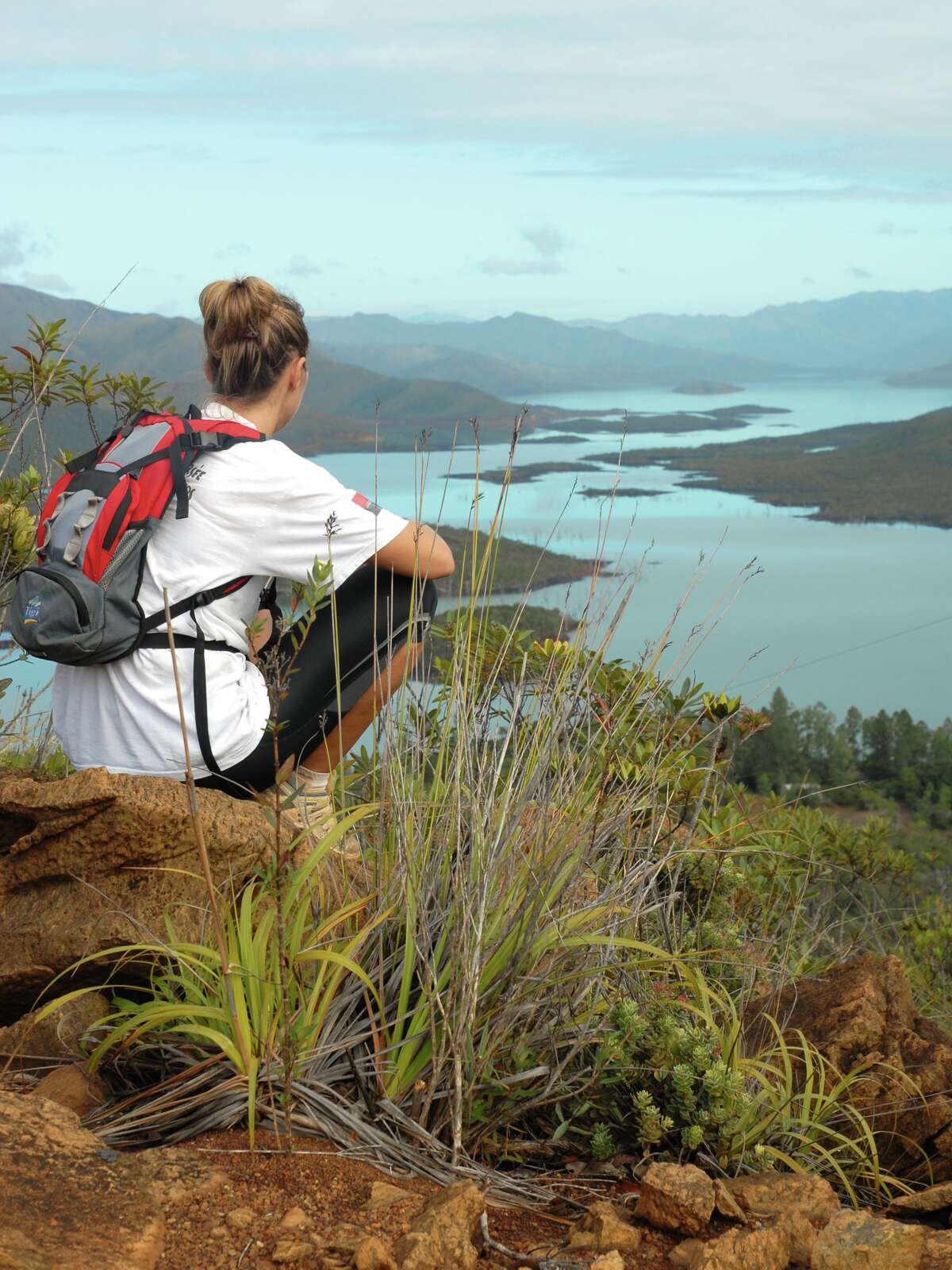 Parc Provincial de la Rivière Bleue Destination Province Sud