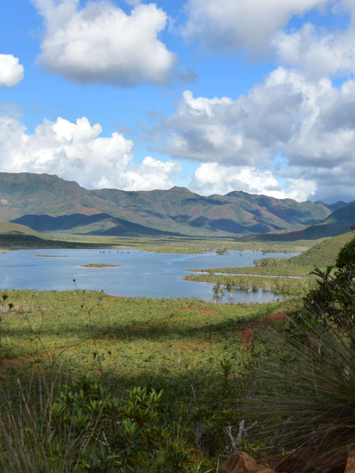 Parc Provincial de la Rivière Bleue Sud Tourisme NouvelleCalédonie
