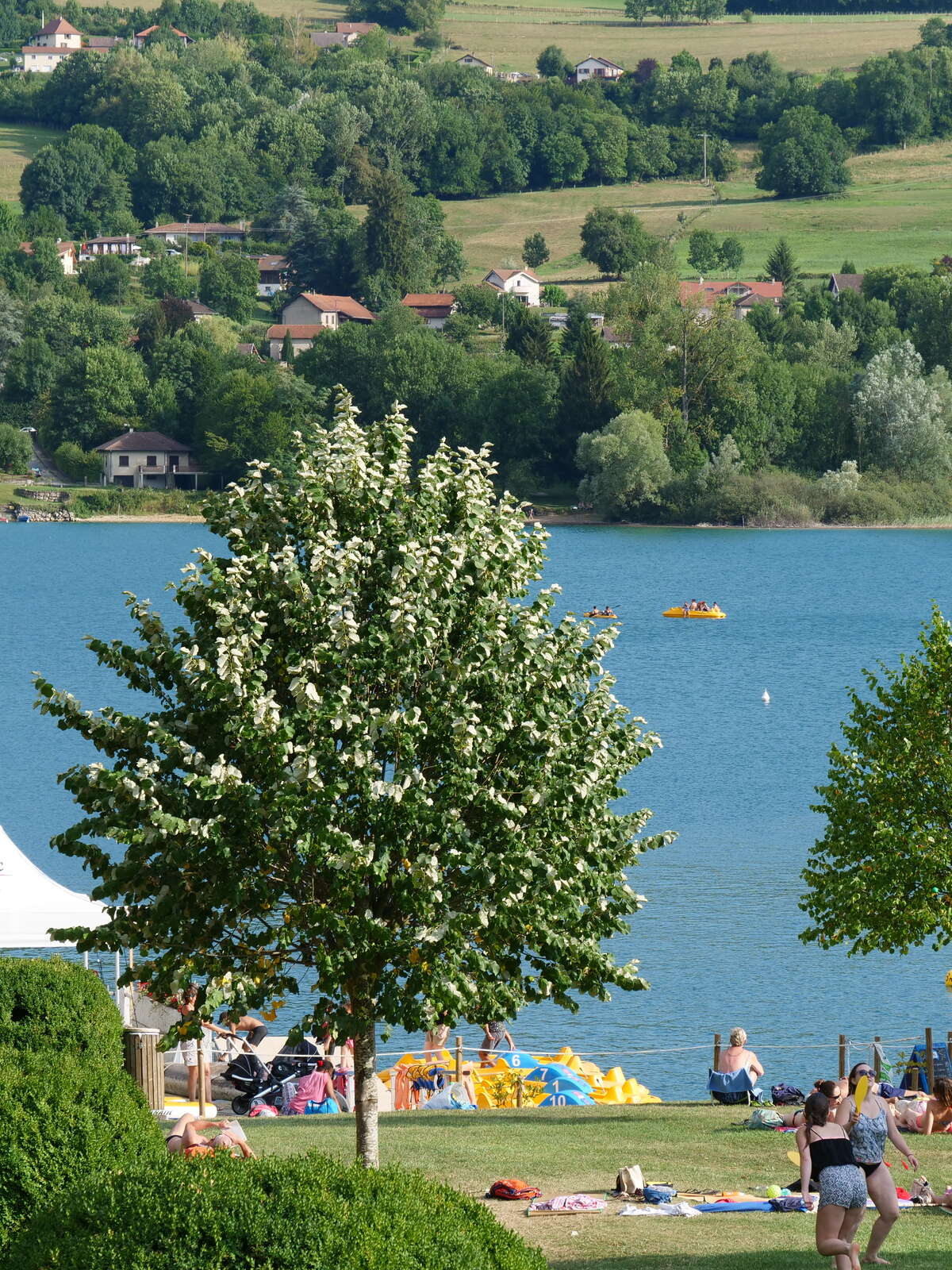 Le lac de Paladru Site Officiel