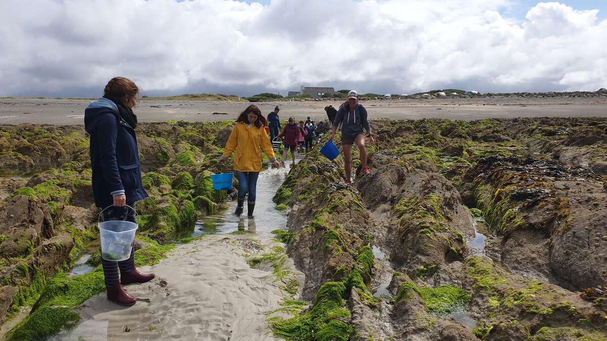 Quimper Tourisme Bretagne