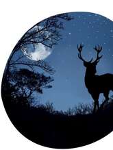 À la rencontre du peuple de la nuit et du brame du cerf