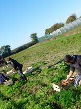 Jard’Insolite : un jardin bio, solidaire et vivant
