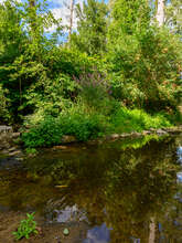 Balade nature à Thollet