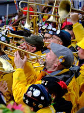 Exposition photos Carnaval des Flandres