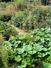 Causerie jardin : venez parler jardinage ! Causerie jardin : venez parler jardinage !