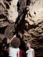 Animation Préhisto'famille "Grotte et gravure"