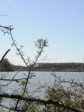 Balade "Le temps des migrations"