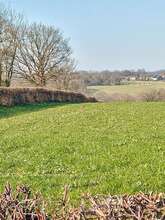 Balade nature "Le bocage dévoilé : nature préservée et géologie" à Luchapt