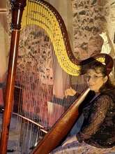 Nuit Européenne des musées "Animation musicale sur la harpe" avec Angélique Dalbin-Ferrari
