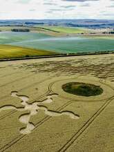 Conférence sur les agroglyphes