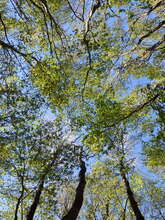 Journée biodiversité