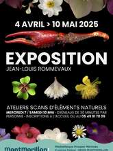 Exposition