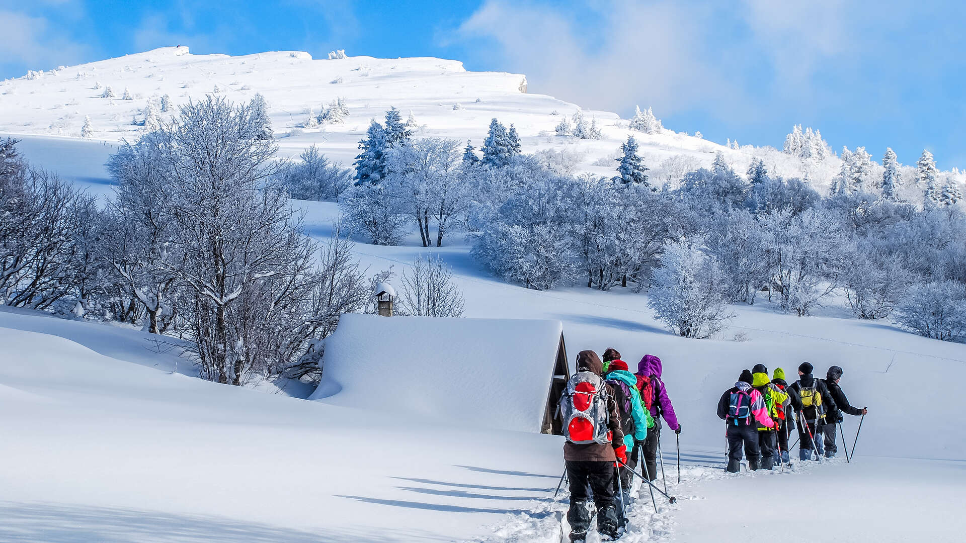 Raquettes Office de tourisme de Villard de Lans / Corrençon en Vercors