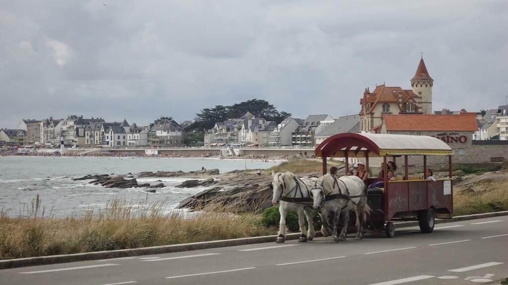 Hôtel des Druides Quiberon Morbihan Sud